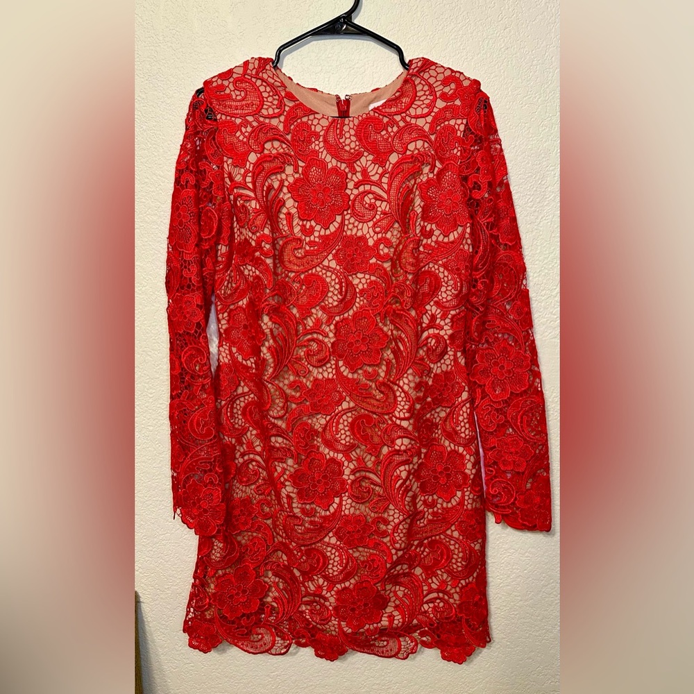 Dress the Population Scarlet Lace Dress